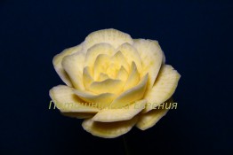 112 Роза из репы