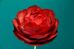 124 Пион из свеклы